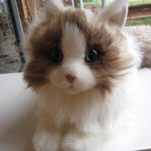 Chongker Handmade Ragdoll Cat Realistic Kitty Lifelike Pet Cream Tan Long Hair